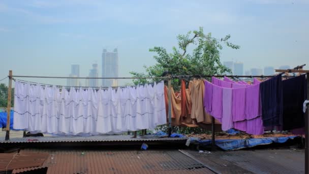 Slavný Obrovský Indický Open Air Prádelna Dhobi Ghat Střeše Moderními — Stock video