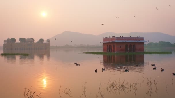 Famoso Ponto Turístico Indiano Jal Mahal Water Palace Nascer Sol — Vídeo de Stock