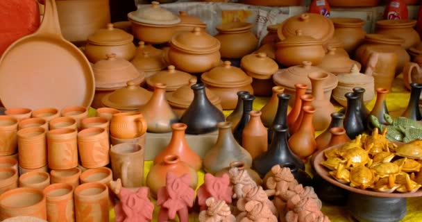 Salon Des Pots Faits Main Céramique Produits Souvenirs Udaipur Rajasthan — Video