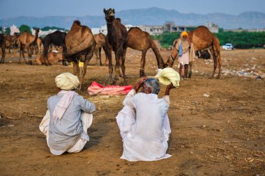 Pushkar, Hindistan - 7 Kasım 2019: Hint kırsal köylüleri Pushkar deve fuarında (Pushkar Mela) erkek ve develer - her yıl düzenlenen ünlü deve ve ve ve ve hayvan fuarı ve turizm merkezi