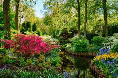 Keukenhof Çiçek Bahçesi, Avrupa Bahçe olarak da bilinir. Bir dünyanın en büyük çiçek bahçeleri. Lisse, Hollanda.