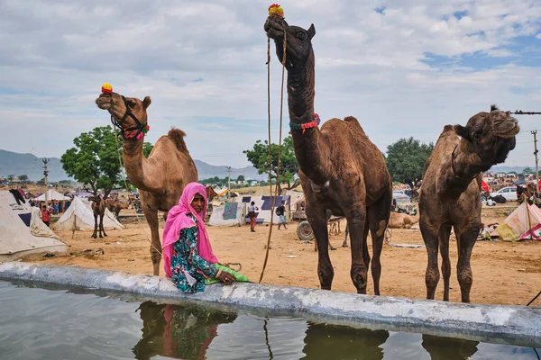Пушкар Индия Ноября 2019 Года Верблюды Питьевой Воды Пушкарской Верблюжьей — стоковое фото