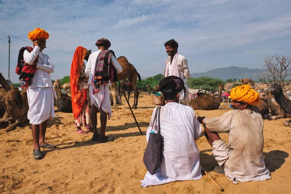 プシュカル インド 11月6 2019 プシュカルラクダフェア プシュカル でのインドの男性とラクダ 毎年開催されるラクダと家畜のフェア 世界最大のラクダフェアと観光名所の一つ — ストック写真