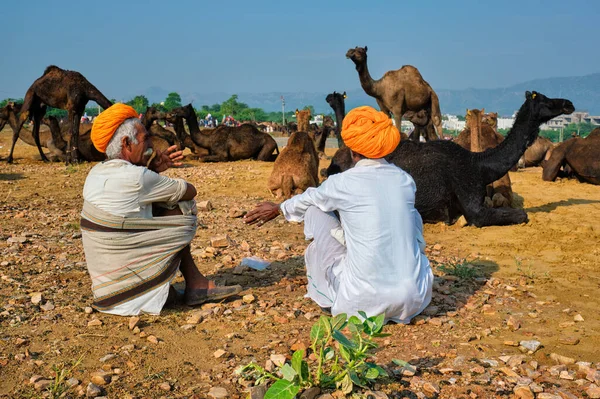 プシュカル インド 11月 2019 プシュカルラクダフェアでインドの農村部の男性とラクダプシュカル メラ毎年恒例のラクダと家畜のフェア 世界最大のラクダの見本市や観光名所の一つ — ストック写真