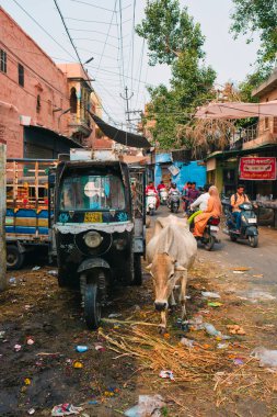 Jodhpur, Hindistan - 14 Kasım 2019: Otomobil, triportör, motosiklet, inek ve çöp olan Hint caddesi. Motosiklet ve çekçek Hindistan 'da çok yaygın ulaşım seçenekleridir..