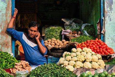 Jodhpur, Hindistan - 14 Kasım 2019: Sebze satıcısı Sadar Market 'teki dükkanında telefonla konuşuyor. Jodhpur, Rajasthan, Hindistan
