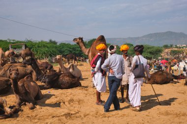 Pushkar, Hindistan - 6 Kasım 2019: Pushkar deve fuarında (Pushkar Mela) Hintli erkek ve develer - dünyanın en büyük deve fuarlarından ve turistik alanlarından biri olan yıllık deve ve ve ve ve hayvan fuarında