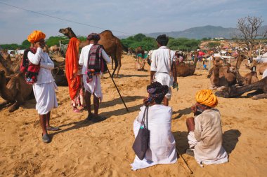 Pushkar, Hindistan - 6 Kasım 2019: Pushkar deve fuarında (Pushkar Mela) Hintli erkek ve develer - dünyanın en büyük deve fuarlarından ve turistik alanlarından biri olan yıllık deve ve ve ve ve hayvan fuarında