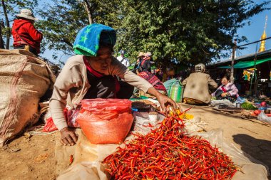 INLE Gölü, MYANMAR - 7 Ocak 2014: Kırsal pazarda sıcak kırmızı biber satan kadın
