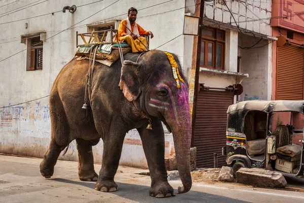 Ujjain Índia Abril 2011 Mahout Montando Elefante Rua Cidade Índia — Fotografia de Stock