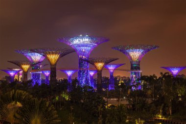 Singapur - 31 Aralık 2013: gece görüş supertree Grove Gardens Körfez. fütüristik park alanlarının 101 hektar Singapur önde gelen kentsel açık rekreasyon alanı ve ulusal simgesi haline olduğunu