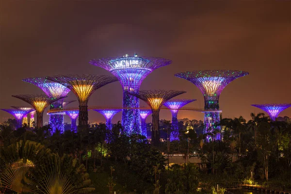 Singapur Grudnia 2013 Wgląd Nocy Supertree Grove Ogrodach Nad Zatoką — Zdjęcie stockowe