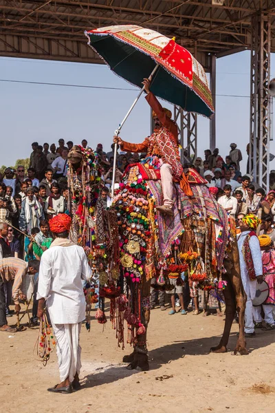 Pushkar India Noviembre 2012 Concurso Concursos Decoración Camellos Feria Anual — Foto de Stock