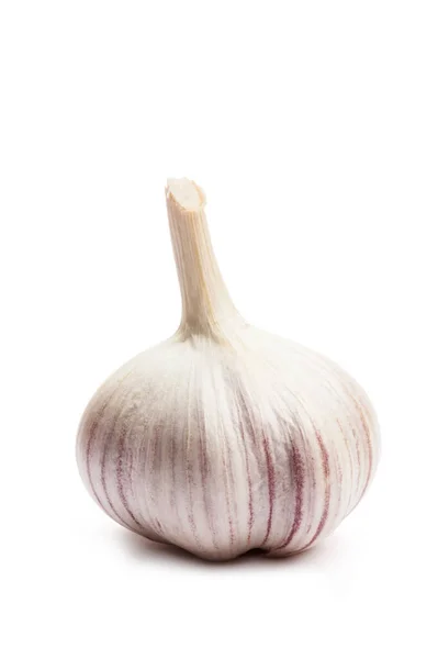 Garlic Close Isolated White Background — Stock Photo, Image