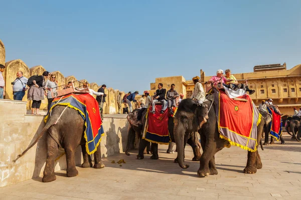 斋浦尔 游客骑着大象在琥珀堡 拉贾斯坦邦 骑大象是游客在印度流行娱乐 — 图库照片