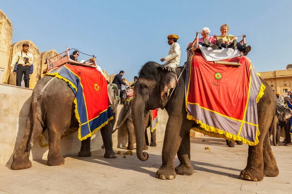 Jaipur India Noviembre Los Turistas Que Montan Elefantes Fuerte Ámbar —  Fotos de Stock