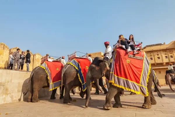Jaipur Ινδία Νοεμβρίου 2012 Τουρίστες Ιππασίας Ελέφαντες Στο Amber Fort — Φωτογραφία Αρχείου