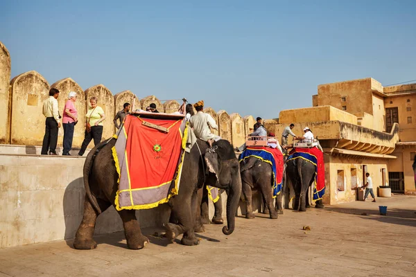 Jaipur India November Tourrists Riding Elephants Amber Fort Rajasthan Elephant — стоковое фото