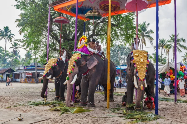 Kochi India Febrero 2013 Elefantes Decorados Con Brahmanes Sacerdotes Templo —  Fotos de Stock