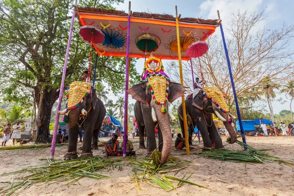 Kochi India Febrero 2013 Elefantes Decorados Con Brahmanes Sacerdotes Templo —  Fotos de Stock