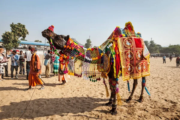 プシュカル インド 2012年11月22日 プシュカル ラクダ フェア プシュカル でのラクダの装飾コンテスト 毎年恒例のラクダの家畜のフェア世界最大のラクダの見本市や観光名所の一つ — ストック写真