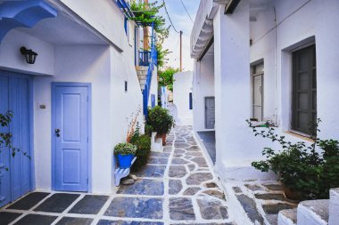 Yunanistan 'ın ünlü Paros Adası' ndaki Naousa kasabasının çiçek açan çiçekleriyle bembeyaz boyanmış geleneksel evleri olan resim gibi dar bir sokak.