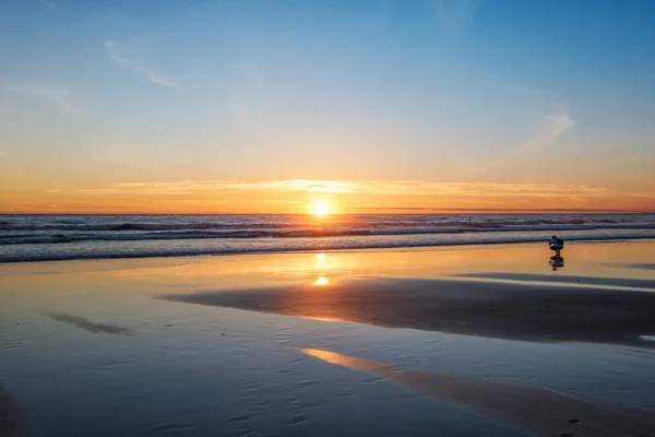 Ocean Atlantycki Zachód Słońca Sylwetką Fotografa Robienie Zdjęć Falujących Fal — Zdjęcie stockowe