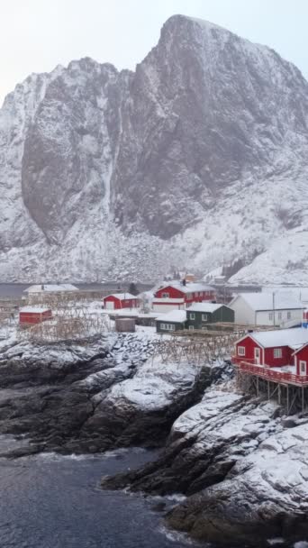 Hamnoy Vesnice Lofoten Ostrovy Norsko Červenými Rorbu Domy Sněhem Zimě — Stock video