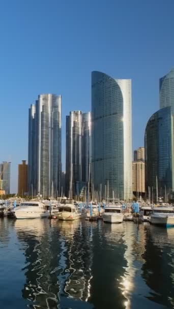 Busan Marina Yachts Marine City Skyscrapers Reflection South Korea Horizontal — Stock Video