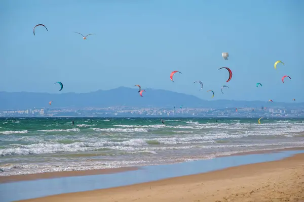 Kiteboarding Kitesurfing Kiteboarder Kitesurfer Kites Atlantic Ocean Beach Fonte Telha — Stock Photo, Image