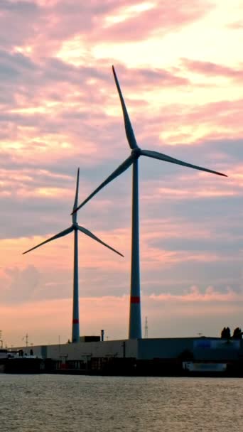 Windturbines Antwerpse Haven Bij Zonsondergang Antwerpen België — Stockvideo