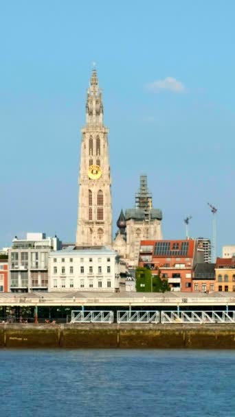 Utsikt Över Antwerpen Över Floden Scheldt Med Passerande Färja Båt — Stockvideo