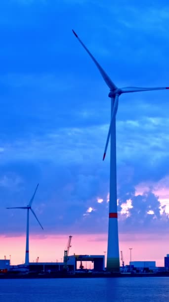 Večer Větrné Turbíny Antverpách Zataženou Oblohou Antverpy Belgie — Stock video