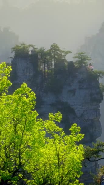Знаменитая Туристическая Достопримечательность Китая Чжанцзяцзе Каменные Столбы Скалы Горы Деревом — стоковое видео