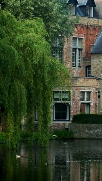 Old Houses Canal Famous Tourist Town Bruges Brugge Belgium Camera — Stock Video