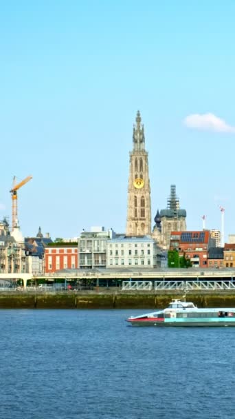 Veduta Anversa Sul Fiume Schelda Barca Belgio — Video Stock