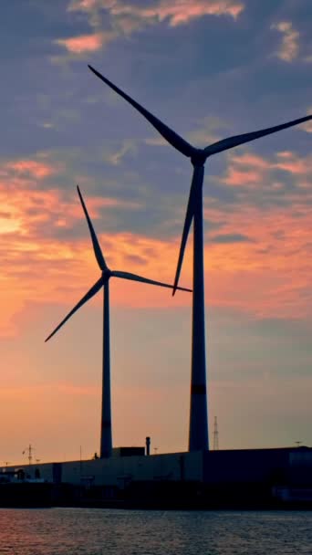 Větrné Turbíny Antverpách Při Západu Slunce Antverpy Belgie — Stock video