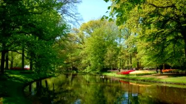 Avrupa Bahçesi olarak da bilinen Keukenhof çiçek bahçesinde çiçek açan pembe laleler. Dünyanın en büyük çiçek bahçelerinden biri. Lisse, Hollanda..