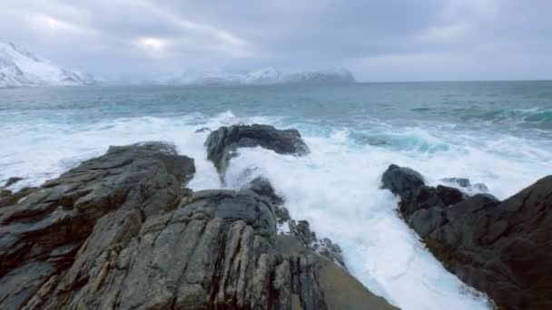 Vågor Norska Havet Krossning Klippiga Kusten Fjorden Vikten Lofoten Öarna — Stockvideo