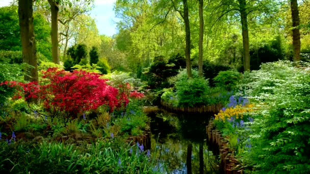 Keukenhof Jardín Flores También Conocido Como Jardín Europa Uno Los — Vídeo de stock