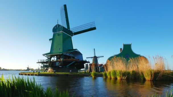 Větrné Mlýny Slavném Turistickém Místě Zaanse Schans Holandsku Zaandam Nizozemsko — Stock video