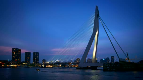 夜に照らされたエラスムス橋 Erasmusbrug とロッテルダムのスカイライン ロッテルダム オランダ — ストック動画