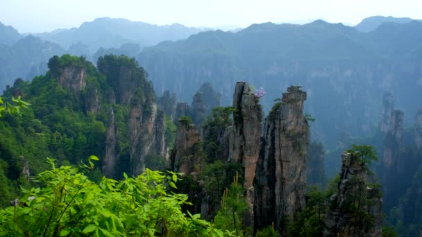 中国の有名な観光名所 ザンジャージー石柱 ウルチュアン フナン 中国の霧雲の山をクリフ 横のカメラ パンを使って — ストック動画
