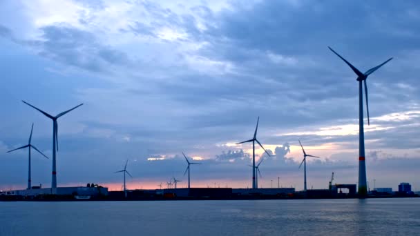 Turbine Eoliche Nel Porto Anversa Tramonto Anversa Belgio — Video Stock