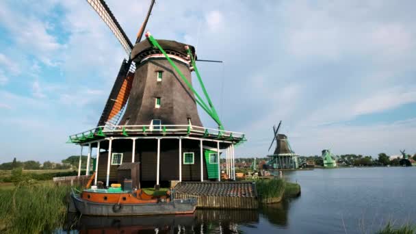 Hollanda Kırsal Peyzaj Yel Değirmenleri Ünlü Turistik Sitesinde Zaanse Schans — Stok video