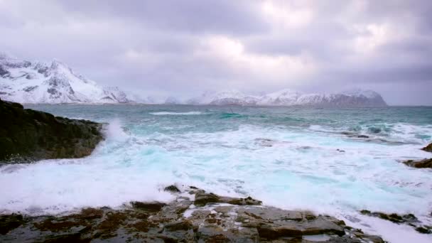 Olas Mar Noruego Aplastando Costa Rocosa Fiordo Vikten Islas Lofoten — Vídeo de stock