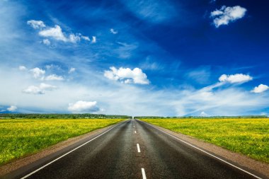 Seyahat konsepti arka planı - mavi gökyüzü ve her iki tarafında çiçek açan yeşil yay tarlaları olan boş bir yol