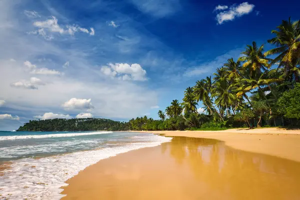 Fondo Vacaciones Tropicales Paradisíaca Playa Idílica Mirissa Sri Lanka Imagen De Stock