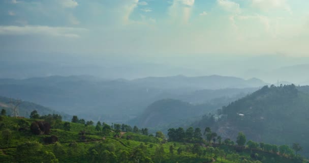 Timelapse Plantações Chá Verde Pôr Sol Estado Kerala Índia Com — Vídeo de Stock