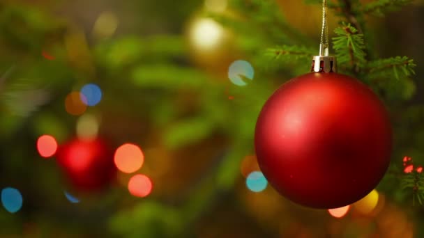 Noel Kutlaması Tatili Arkaplanı Noel Ağacı Süslemesi Süslenmiş Noel Ağacına — Stok video